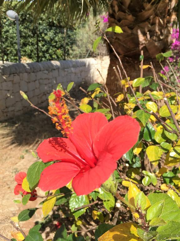 Willa Hibiscus Rosso Donnalucata  Zewnętrze zdjęcie